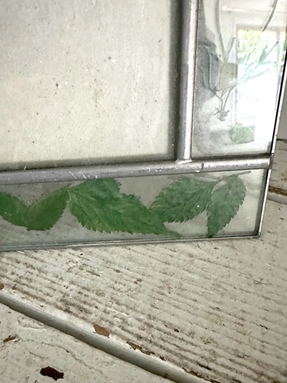 Vintage Dried Pressed Leaves Flowers Glass Picture Photo Frame for 3.5x5” Pic